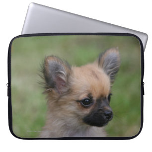 Langhaariger Chihuahua-Welpe, der Kamera Laptopschutzhülle