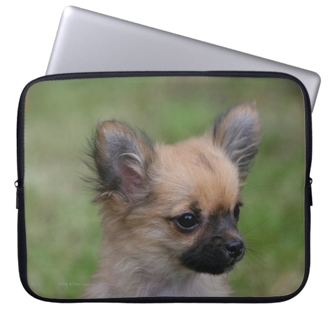 Langhaariger Chihuahua-Welpe, der Kamera Laptopschutzhülle (Vorderseite)