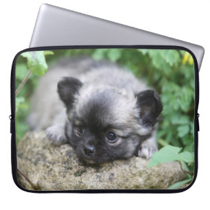 Langhaariger Chihuahua-Welpe Laptopschutzhülle