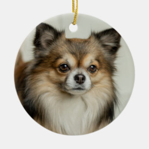 Langhaariger Chihuahua-Welpenhund Keramik Ornament