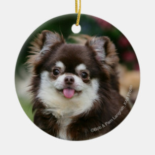 Langhaariger ChihuahuaHeadshot 1 Keramikornament