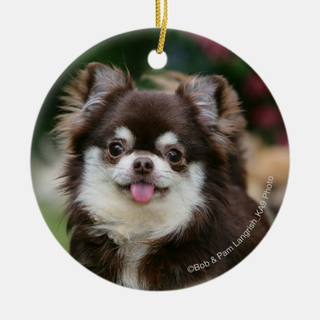 Langhaariger ChihuahuaHeadshot 1 Keramikornament (Vorne)