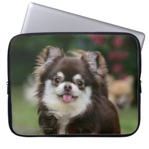 Langhaariger ChihuahuaHeadshot 1 Laptopschutzhülle