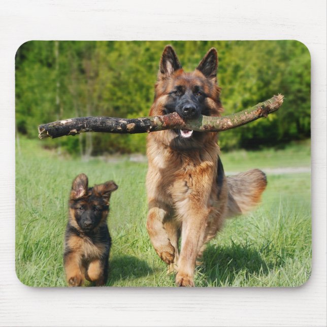 Langhaariger Flusshirtenhund Mousepad (Vorne)