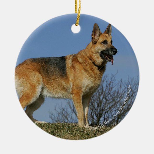 Langhaariger Schäferhund 2 Browns Keramik Ornament (Vorne)