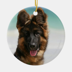 Langhaariger Schäferhund-Strand Keramik Ornament