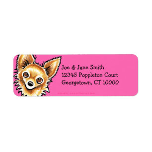 Langhaariges Chihuahua-Pink