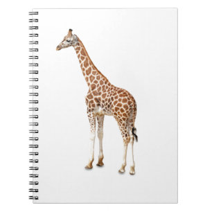 Langhalsgiraffe Notizblock