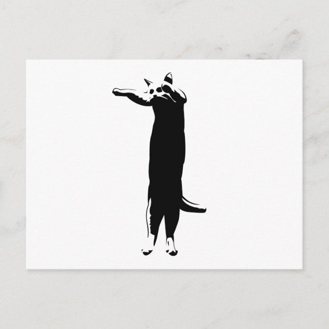 Langkatze Mem Postkarte (Vorderseite)