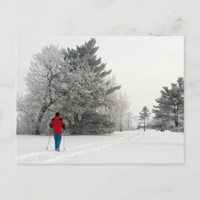 Langlaufen an einem Frosttag Postkarte (Vorderseite)