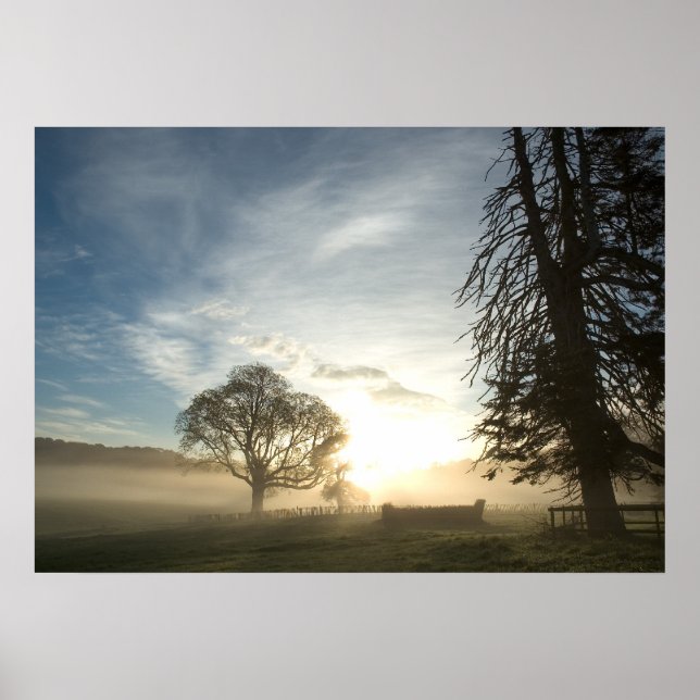Langlaufkurs im Morgengrauen Poster (Vorne)