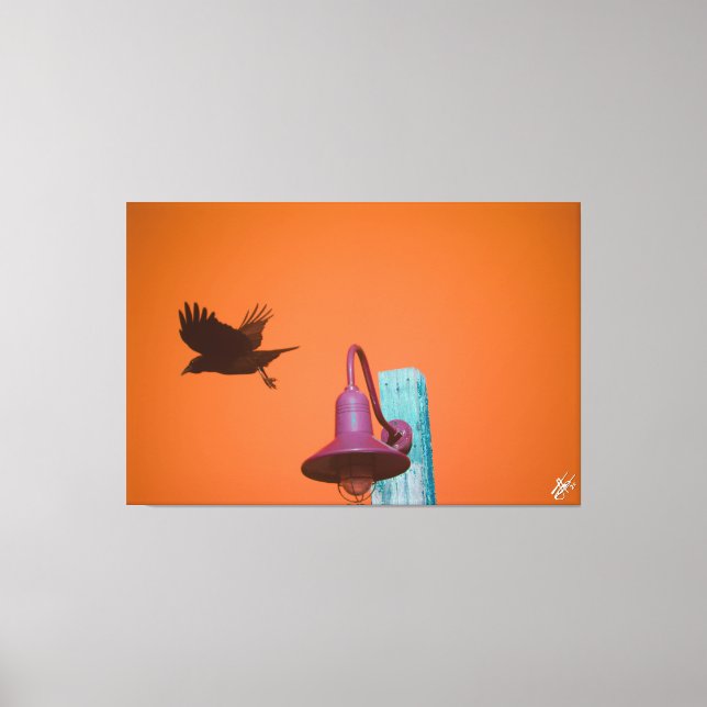 Langley Crow auf der Light Post Series #2 Leinwanddruck (Vorderseite)