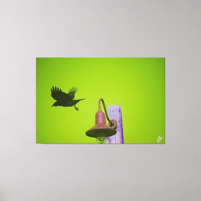 Langley Crow auf der Light Post Series #5 Leinwanddruck (Vorderseite)