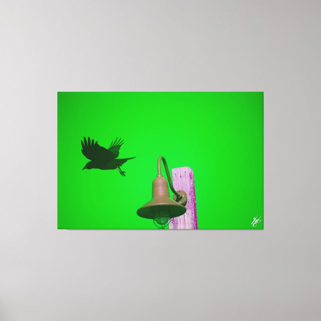 Langley Crow auf der Light Post Series #9 Leinwanddruck (Vorderseite)