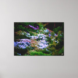 Langley-Küste #5 Leinwanddruck