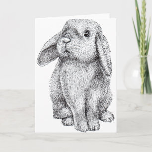 Langohrr Kaninchen Hase Süß Ostern Zeichnung Lange Karte