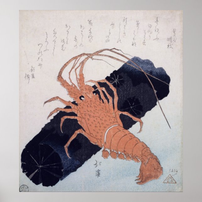 Langoustine mit Block of Charcoal, c.1830 Poster (Vorne)