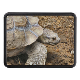 langsam abschlepphaken cover