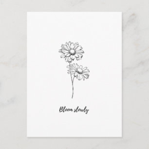 Langsam Blühen Minimale Gänseblümchen Blumen Aufkl Postkarte