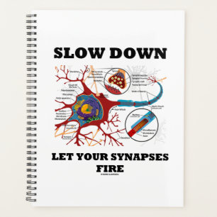 Langsam Lass deine Synapse Feuerneuron/Synapse Planer