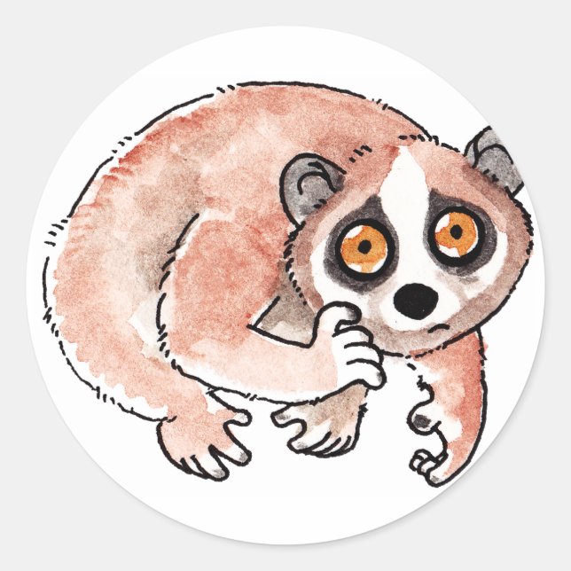 Langsam Loris Stickers (Vorderseite)
