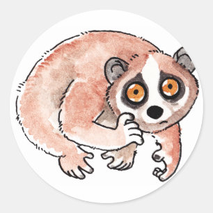 Langsam Loris Stickers
