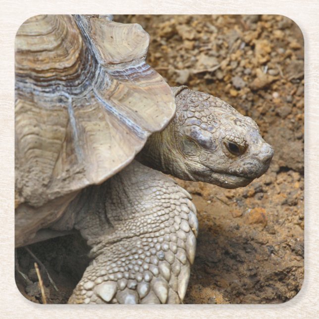 langsam rechteckiger pappuntersetzer (Vorderseite)