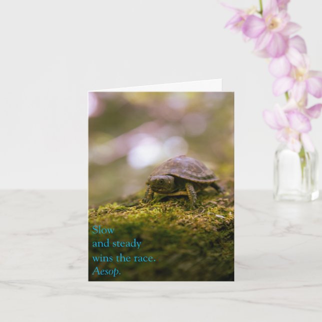 Langsam und stetig gewinnt das Rennen - Aesop Karte (Orchidee)