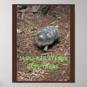 langsam und stetig kommt es an! poster
