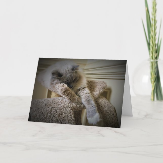 Langsame Tage, Karte (Vorderseite)