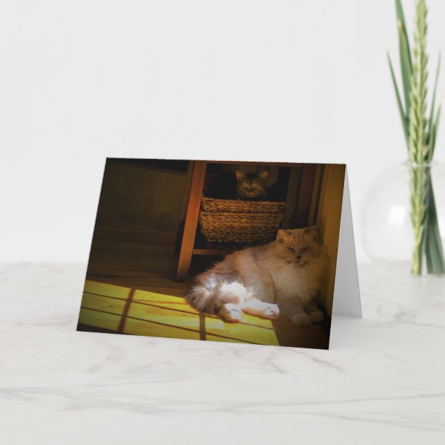 Langsame Tage, Karte (Vorderseite)