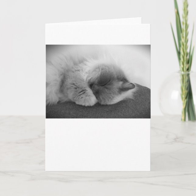 Langsame Tage, Karte (Vorderseite)