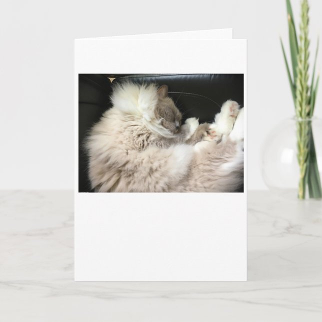 Langsame Tage, Karte (Vorderseite)