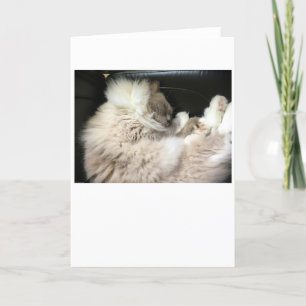 Langsame Tage, Karte