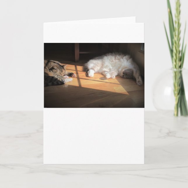 Langsame Tage, Karte (Vorderseite)