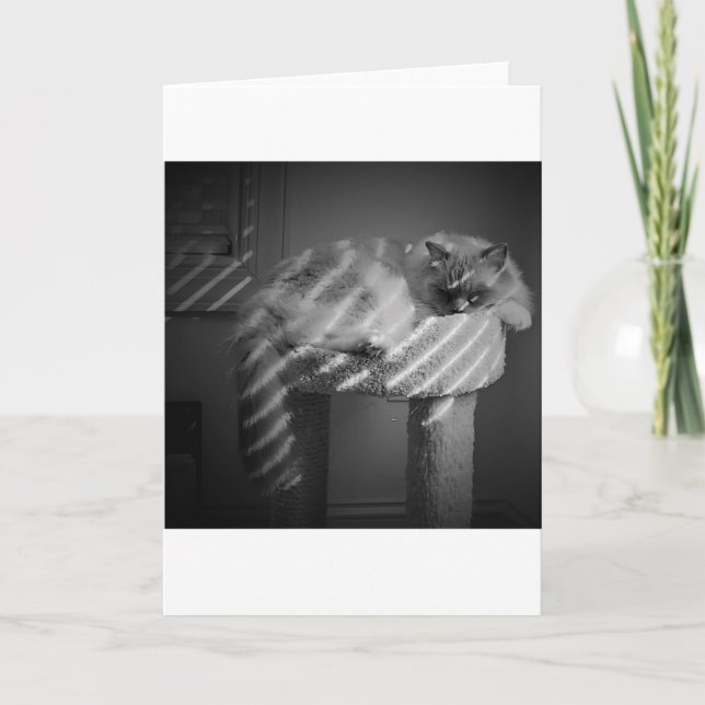 Langsame Tage, Karte (Vorderseite)