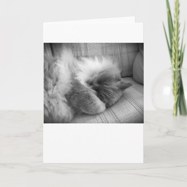 Langsame Tage, Karte (Vorderseite)