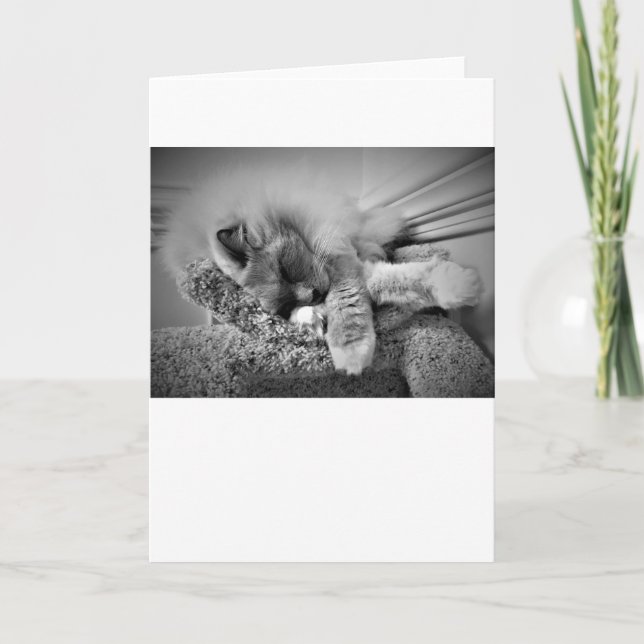 Langsame Tage, Karte (Vorderseite)