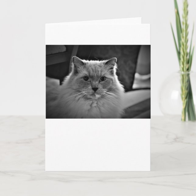 Langsame Tage, Karte (Vorderseite)