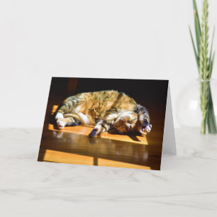 Langsame Tage, Karte