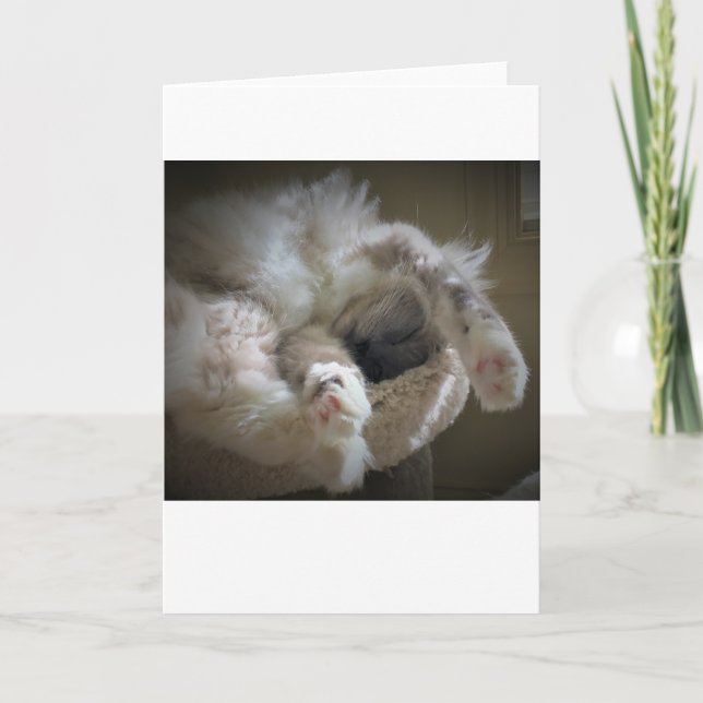 Langsame Tage, Karte (Vorderseite)