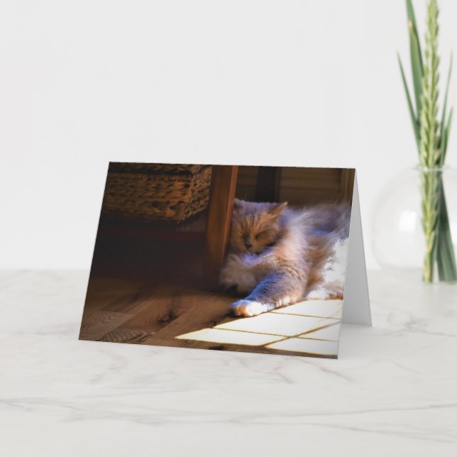 Langsame Tage, Karte (Vorderseite)