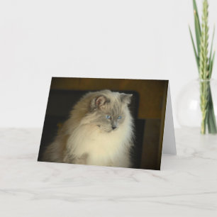 Langsame Tage, Karte