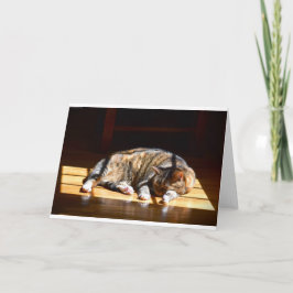 Langsame Tage, Karte