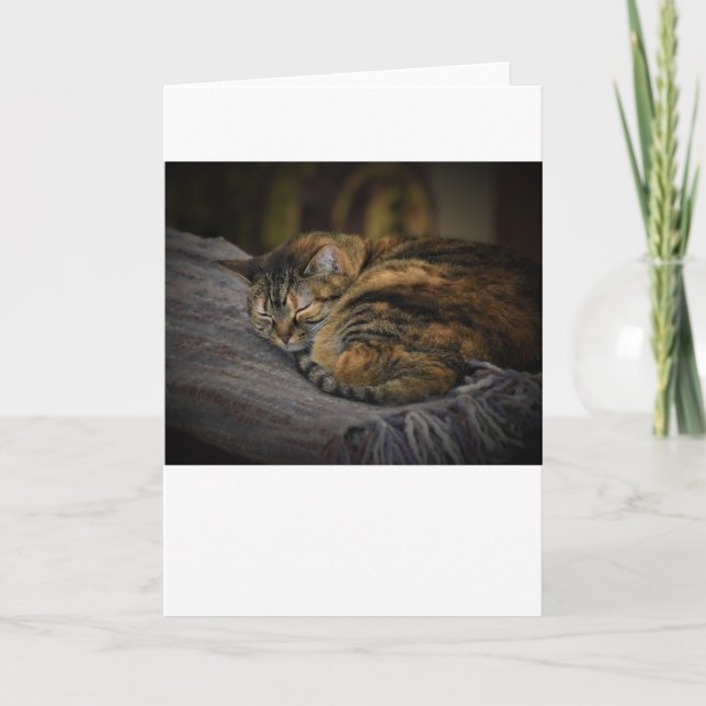 Langsame Tage, Karte (Vorderseite)