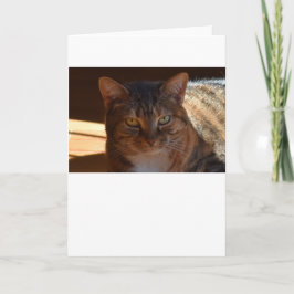 Langsame Tage, Karte