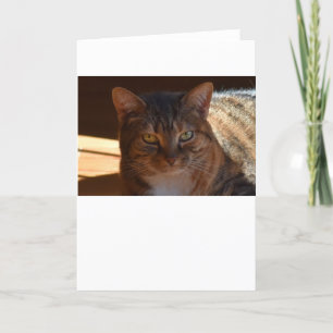 Langsame Tage, Karte