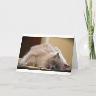 Langsame Tage, Karte