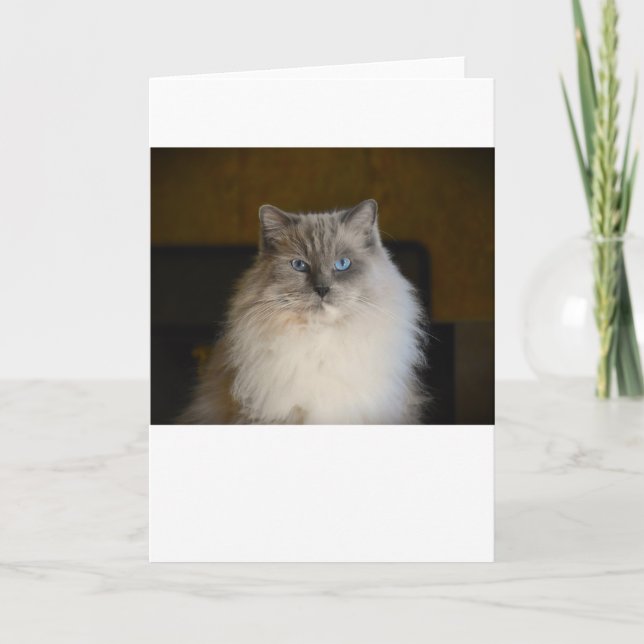 Langsame Tage, Karte (Vorderseite)