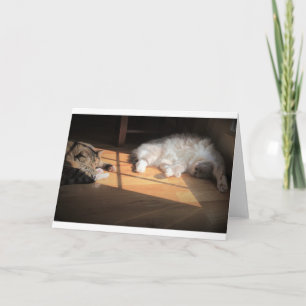 Langsame Tage, Karte